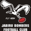 Jabiru Logo