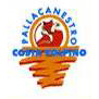 Pall. Costa Volpino Logo