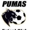 Parramatta Pumas FC Logo