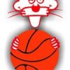 Amatori Basket Savigliano Logo