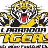 Labrador Logo