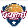 Gigantes de Guayana Logo