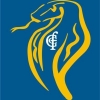 Cockburn Cobras (C3) Logo