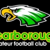 Scarborough (AR) Logo
