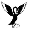 Warnbro Swans (IDC)