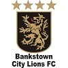 Bankstown City FC Logo
