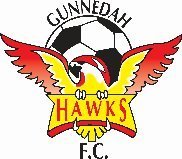 Gunnedah United Hawks