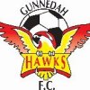 Gunnedah United Hawks Logo