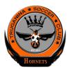 Truganina Hornets SC Blue Logo