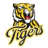 Tigers  Logo