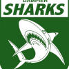 Dampier Sharks Logo