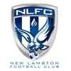 New Lambton FC 18G/01-2023 Logo