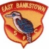 East Bankstown Football Club - B Logo