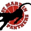 wrong team- St Martins Logo