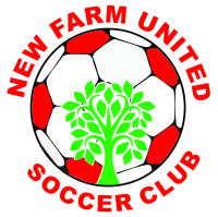 New Farm United  U12 Div 3 Girls