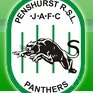 Penshurst U17 Div 2 Logo