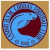 Casino RSM Cobras Logo