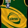 Colac & District FL Logo