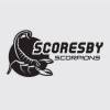 Scoresby Scorpions Logo