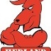 Reds 17s Logo