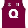 Qld Logo