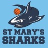 U12 Girls St Mary's 3 Logo