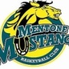 Mentone Mustangs Lightning Logo