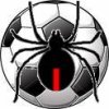 Buninyong Soccer  Black Club Logo