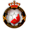 White Star Dandenong SC Masters Logo