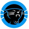 Panthers White Logo