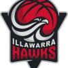 Illawarra Hawks Boys Logo
