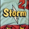 Stormettes Logo
