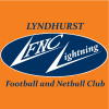 Lyndhurst Orange Logo