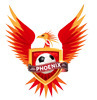 Newmarket Phoenix FC Green