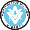 Ascot Vale Vikings FC Yellow Logo