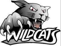 Wynyard Wildcats