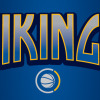 Vikings Silver Logo