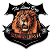 Sandown Lions FC Logo