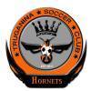 Truganina Hornets SC Logo