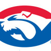 Panmure Logo