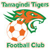 zzTarragindi Tigers FC Logo