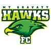 Mt Gravatt Hawks FC Logo