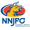 Nambrok-Newry U/14 Logo