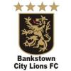 Bankstown City Lions SC Logo