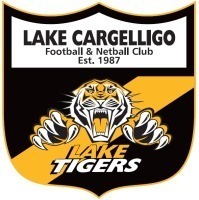 Lake Tigers Under 13s 2014