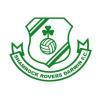 Shamrock Rovers Darwin FC Logo