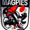 Ungarie Magpies Logo