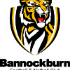 Bannockburn Logo