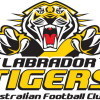 Labrador Seniors Logo