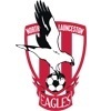 NLE Red Ravens Logo
